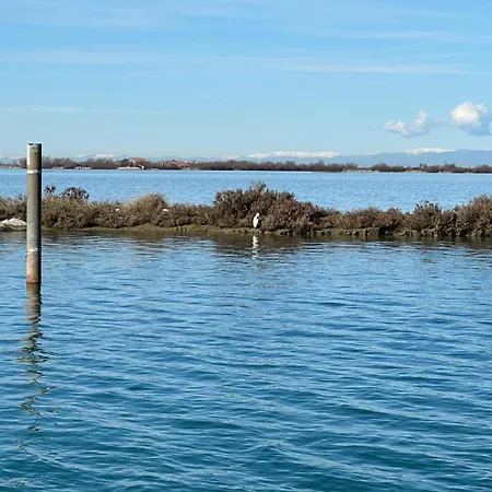 Floating * Grado